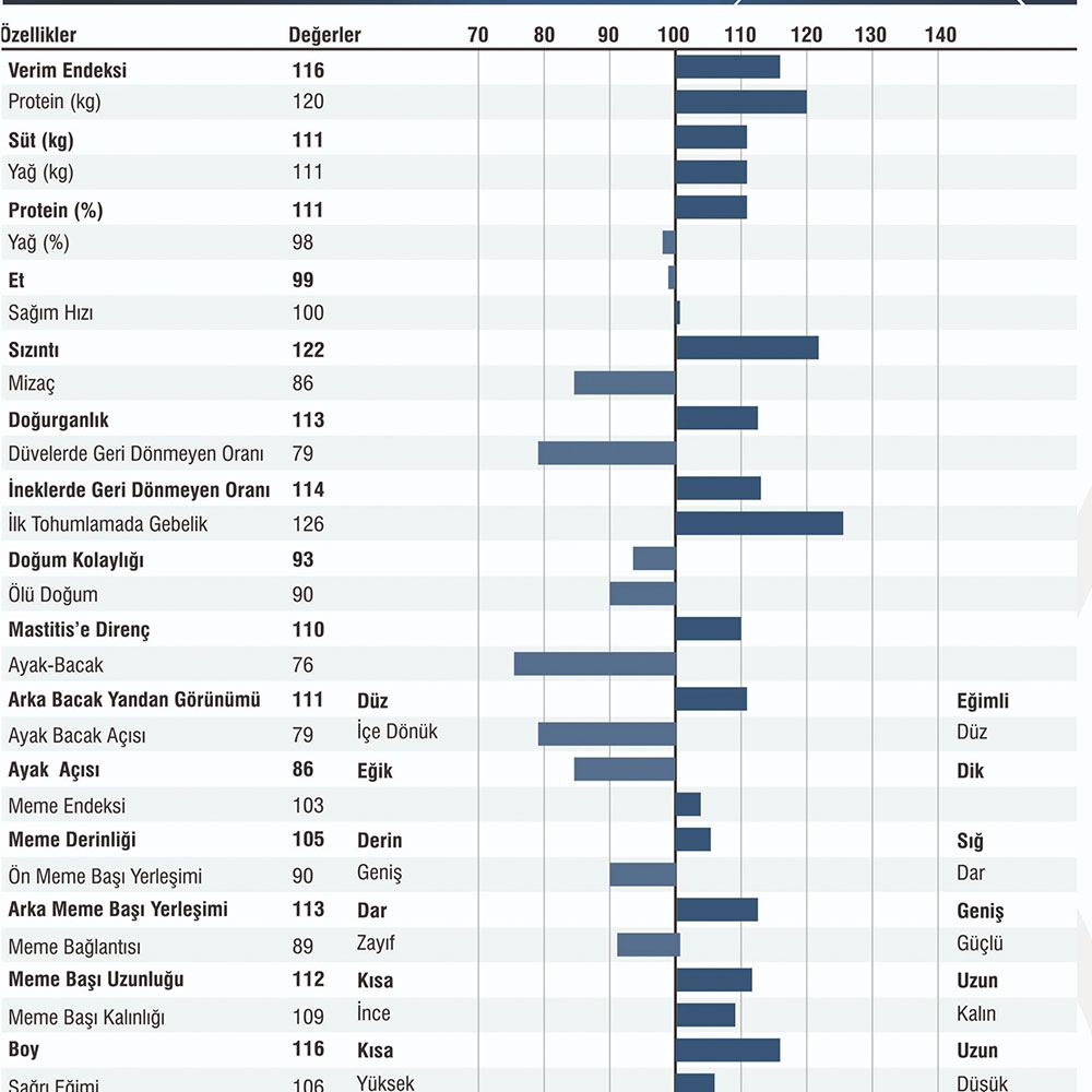 Krulab İdrar Stribi